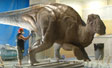 Metal coating on mother dinosaur for Fernbank  Natural History museum Atlanta, GA front plaza fountain project.