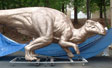 Prep bronze coating on mother dinosaur for Fernbank  Natural History museum Atlanta, GA front plaza fountain project.