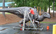 Patina bronze coating on mother dinosaur for Fernbank  Natural History museum Atlanta, GA front plaza fountain project.