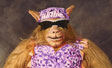 <emWildcat Willie WCW Mascot Costumepty>