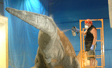 Large scale application bronze on fiberglass dinosaur