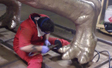 Polishing dinosaur leg bronze coated