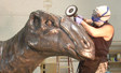 High speed polish of Dinosaur head bronze coated fiberglass