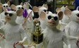 3 Blind Mice for Shrek Themed Holiday Show