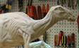 Dinosaur Maquette #2 Fernbank Museum Atlanta, GA Front Plaza Dinosaur Sculpture Fountain