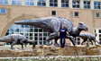 Fernbank Museum Atlanta, GA Front Plaza Dinosaur Sculpture Fountain Install Day